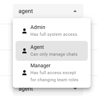 Team members list showing role controls